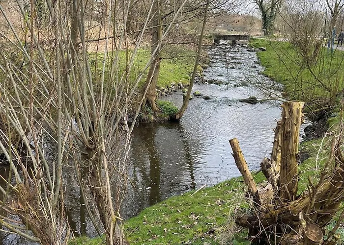 Ruhige Maisonette Im Gruenen